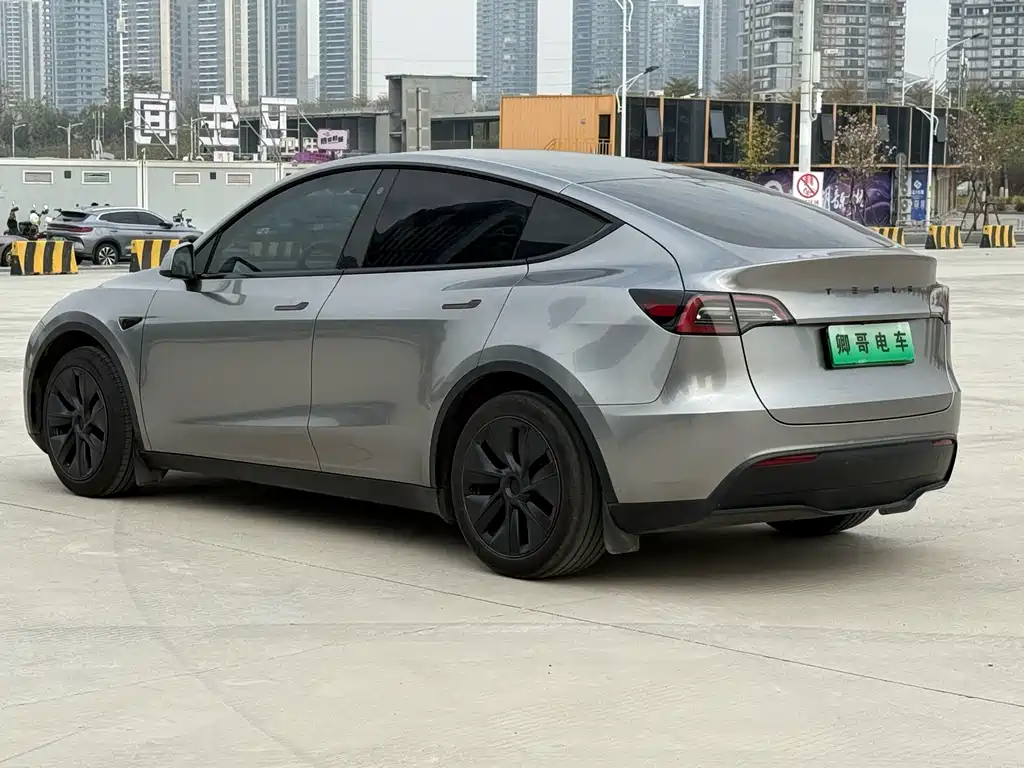 Tesla Model Y — миниатюра 4