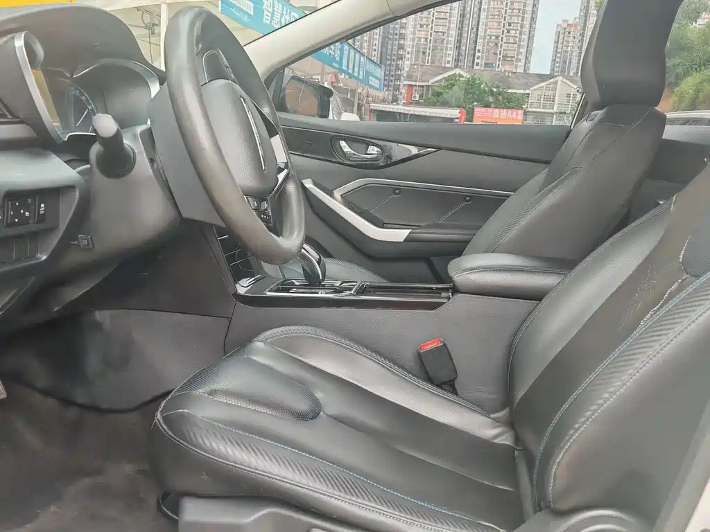 Venucia D60 EV — миниатюра 4