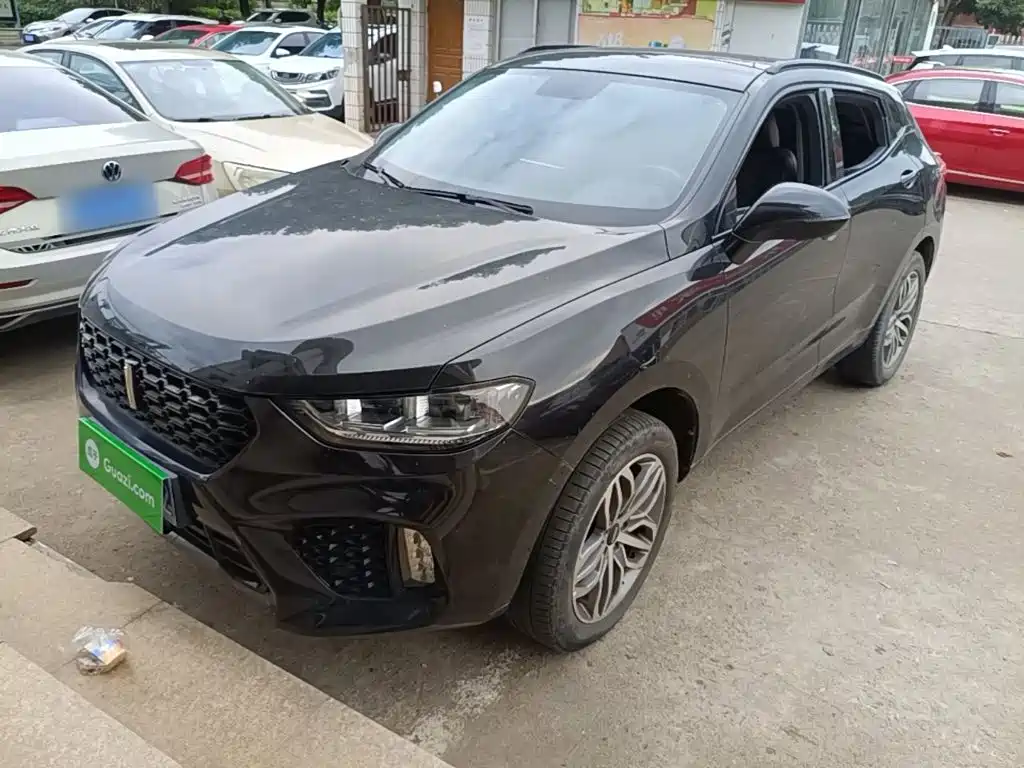 Wey Wey VV5