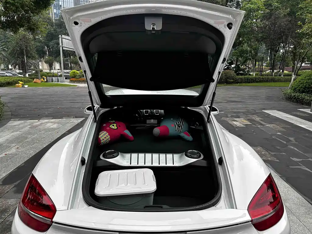 Porsche Cayman — миниатюра 12