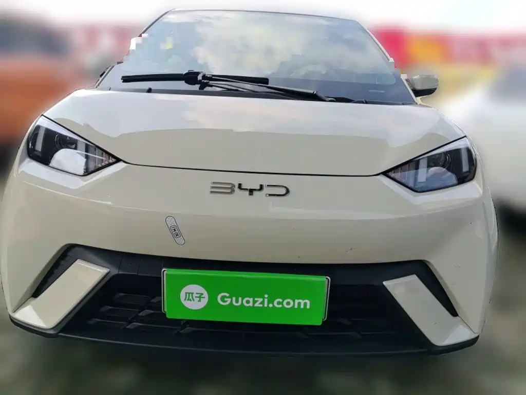 BYD Seagull — миниатюра 23
