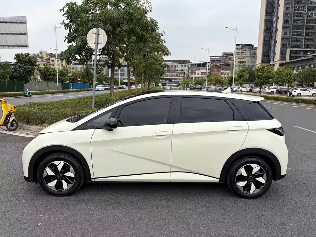 BYD Dolphin — миниатюра 3