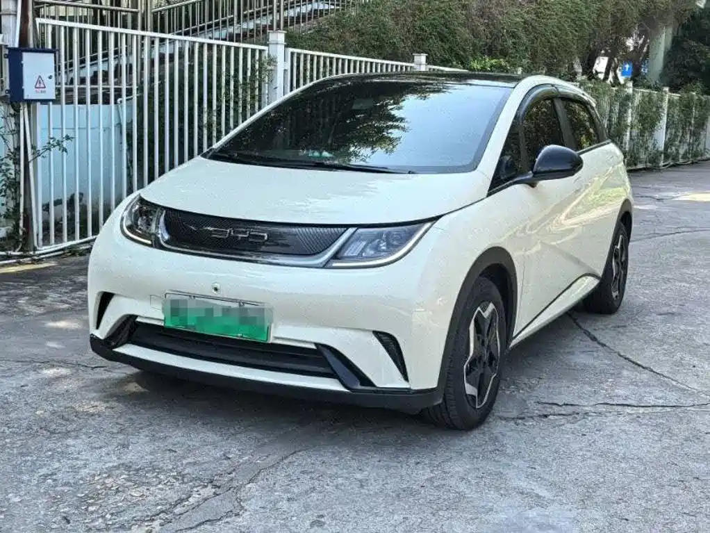 BYD Dolphin