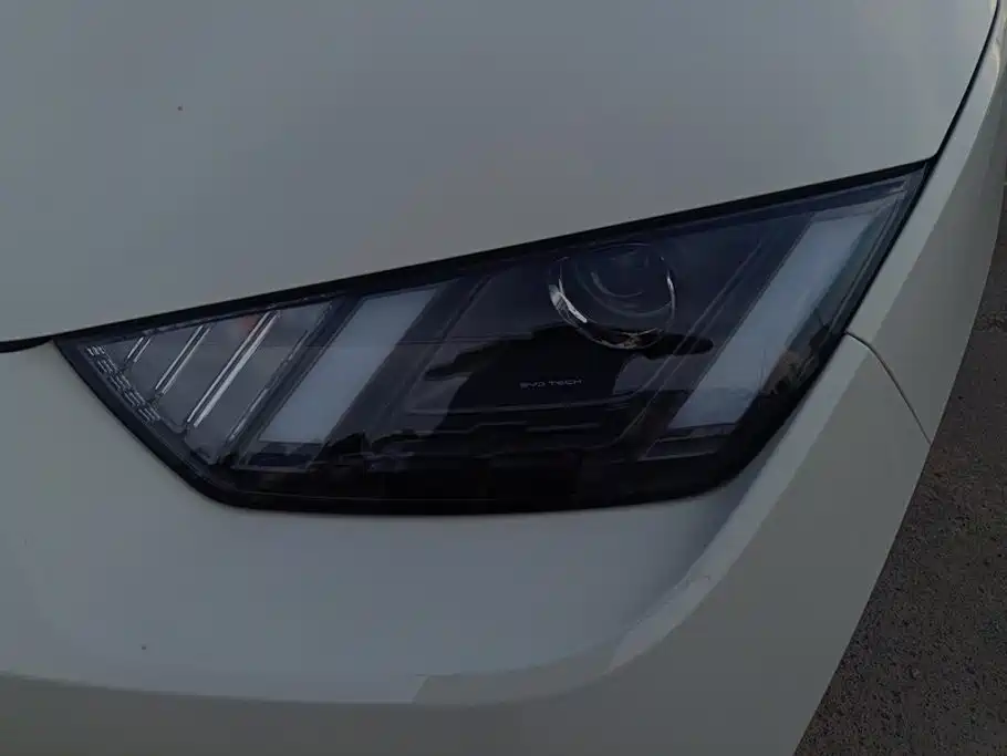 BYD Seagull 2026 305km