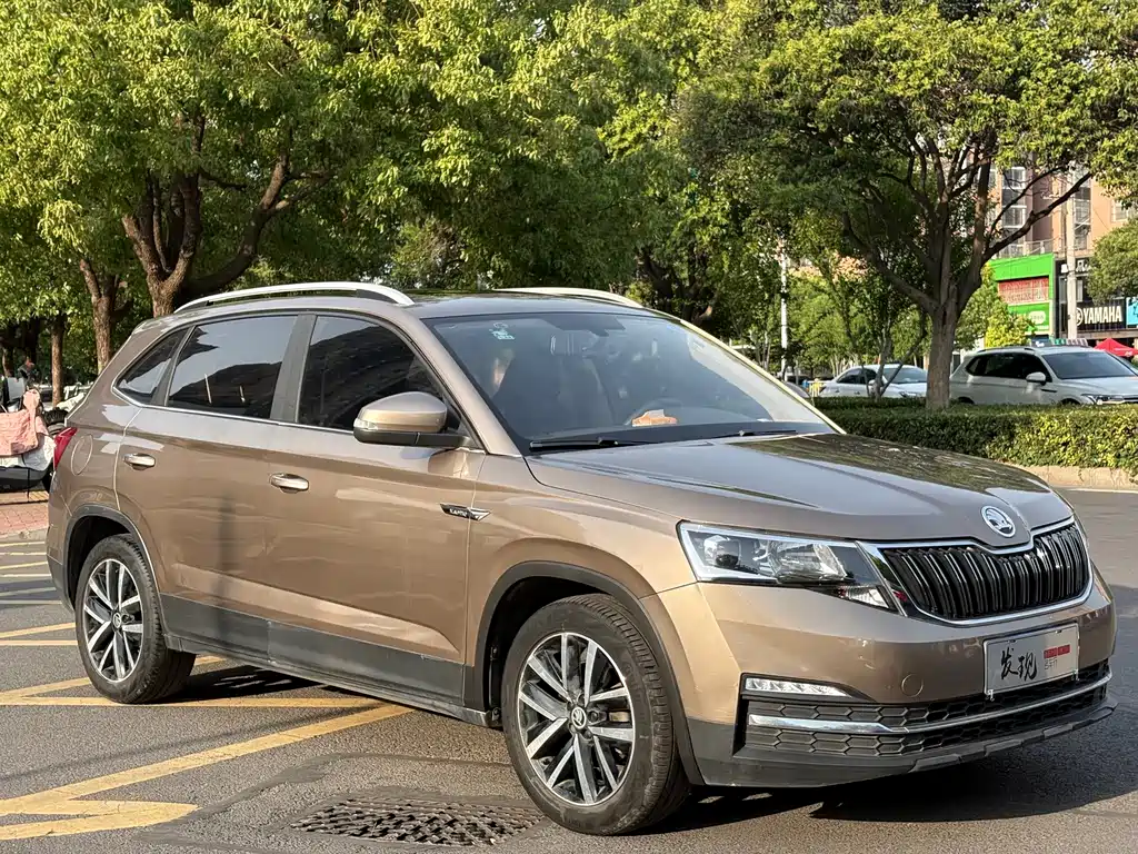 Skoda Kamiq - фото 3