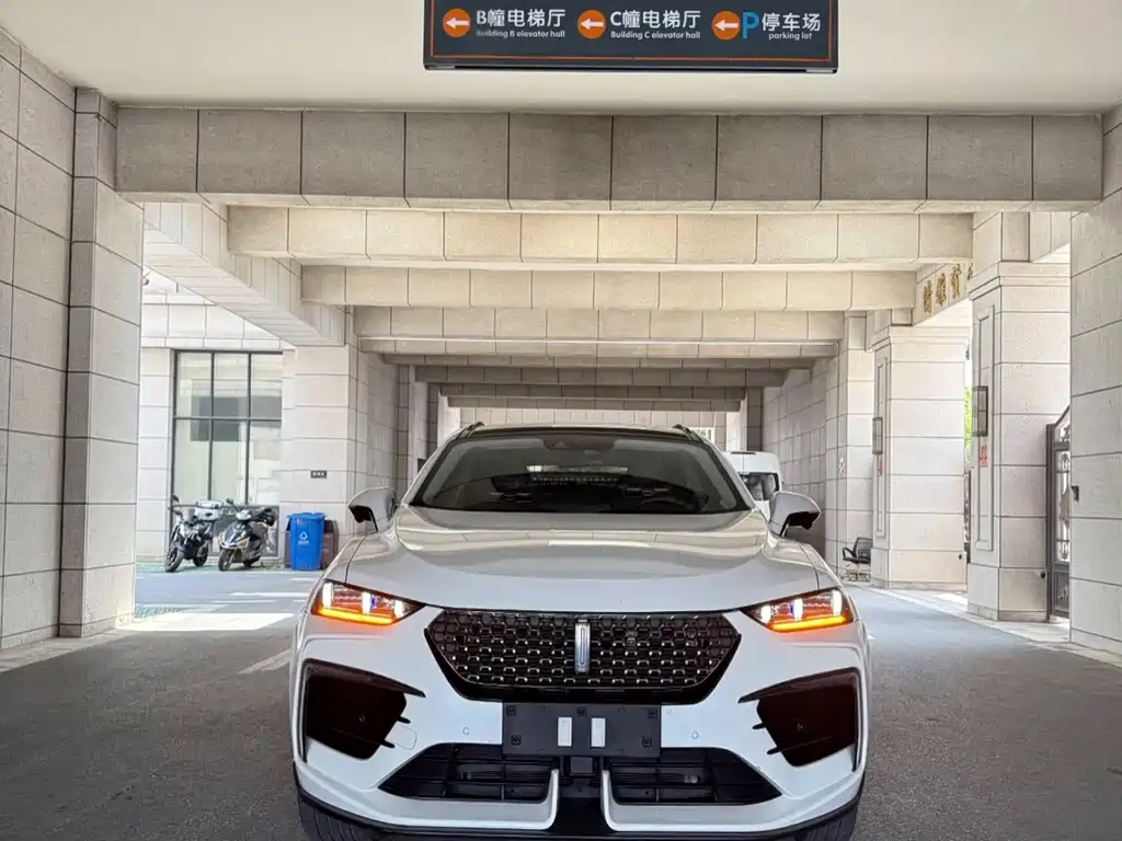 Wey VV7 GT 2020 2.0T brabus automotive