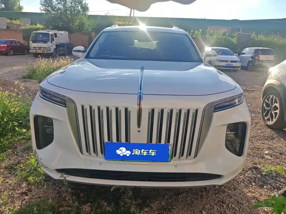 Hongqi Hongqi E-HS9 — миниатюра 2