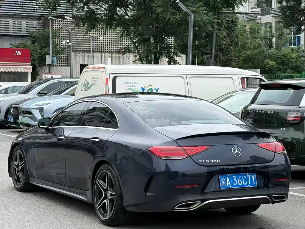 Mercedes-Benz CLS CLS 300 Luxury Type, фото 7