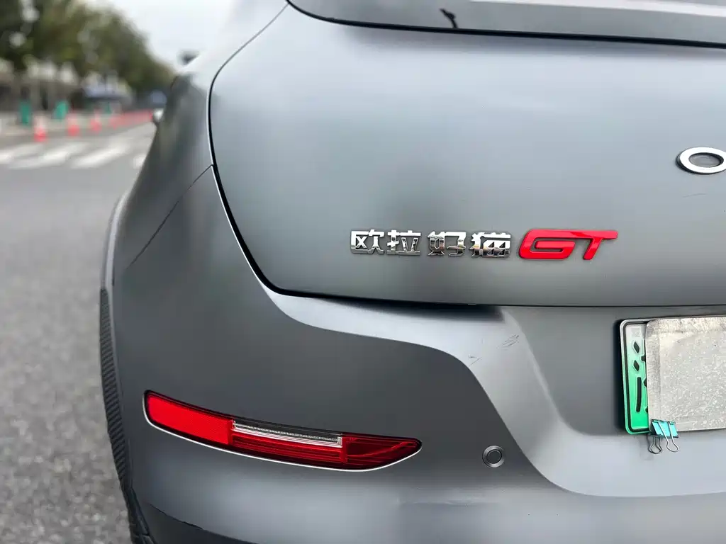 Ora Ora Good Cat GT — миниатюра 9