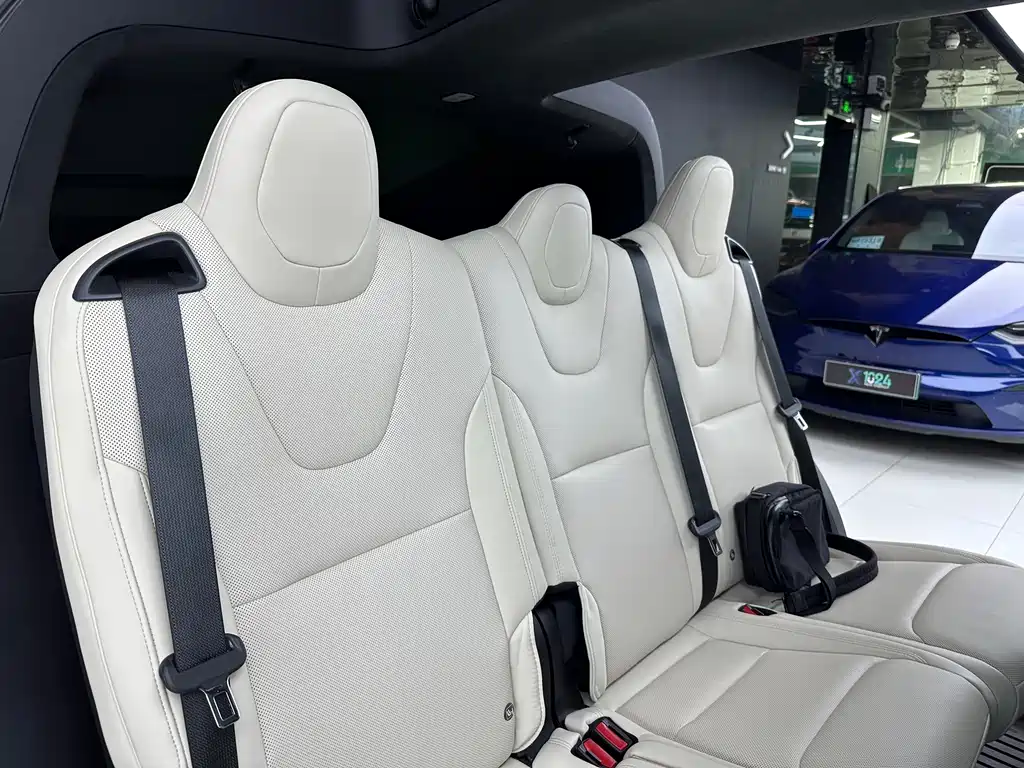 Tesla Model X — миниатюра 11