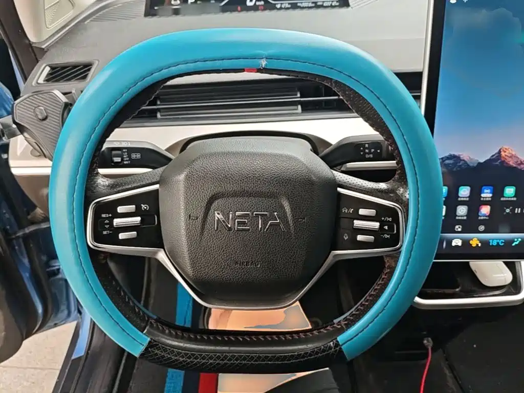 Neta Neta V — миниатюра 11