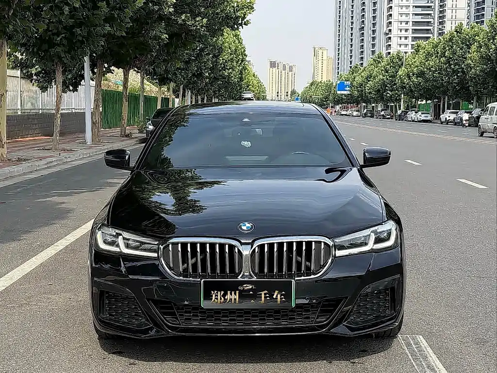 BMW 5 Series New Energy — миниатюра 2
