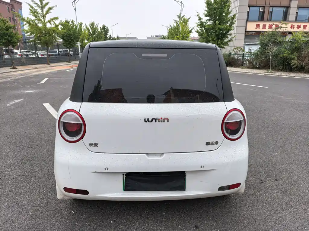 Qiyuan Lumin — миниатюра 5