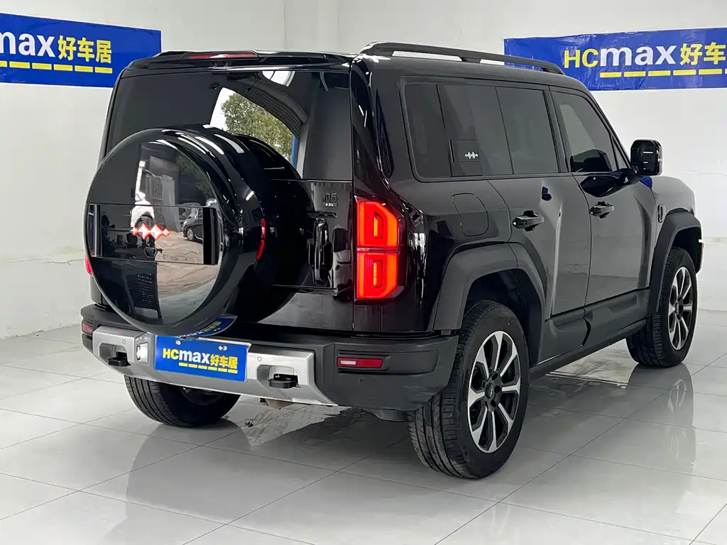 FANG CHENG BAO LEOPARD 5