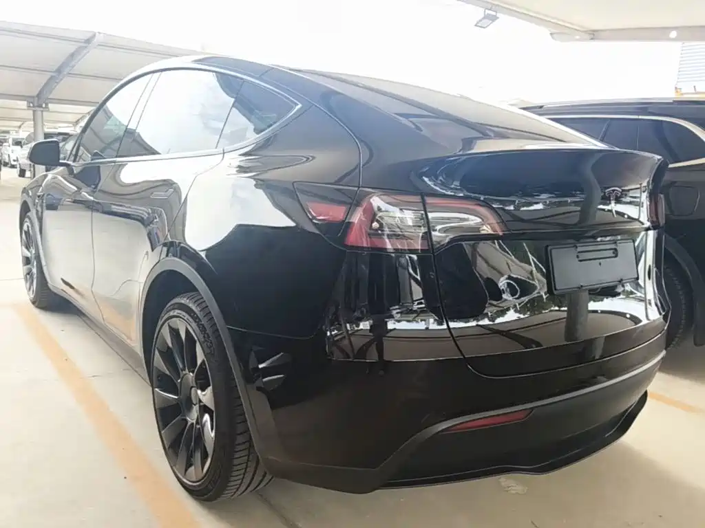 Tesla Model Y — миниатюра 5