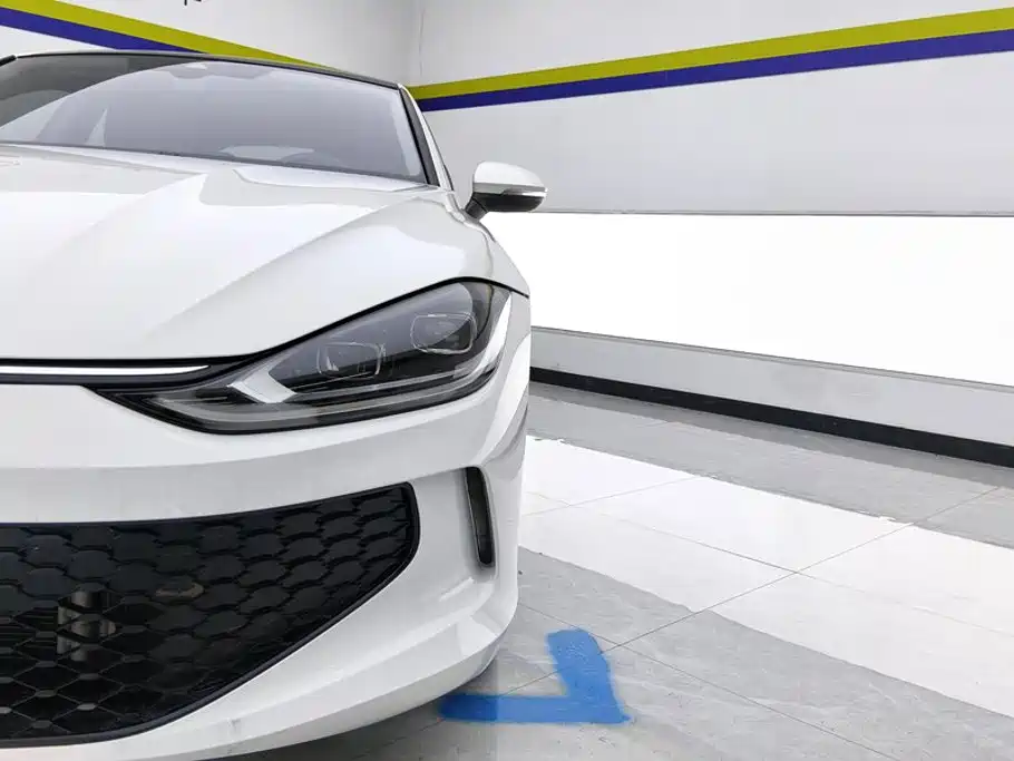 Volkswagen Lamando — миниатюра 5