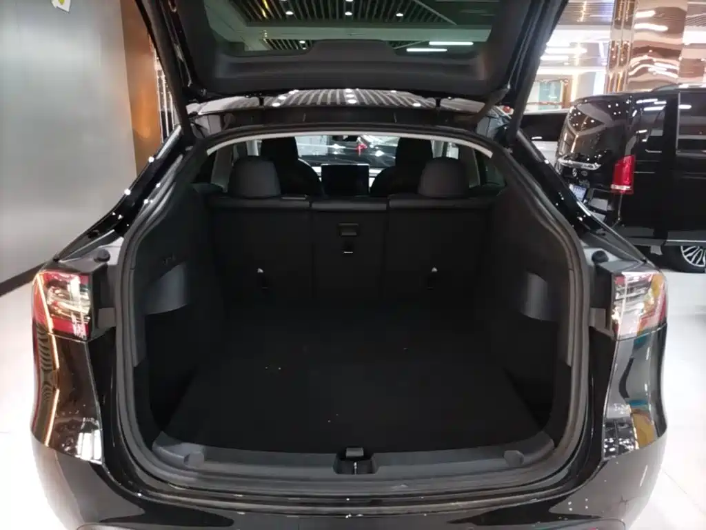 Tesla Model Y — миниатюра 19