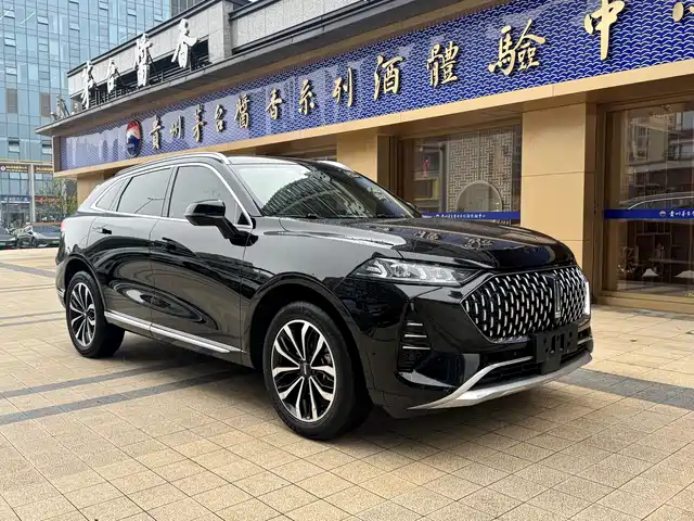 WEI PAI WEI BRAND MOCHA