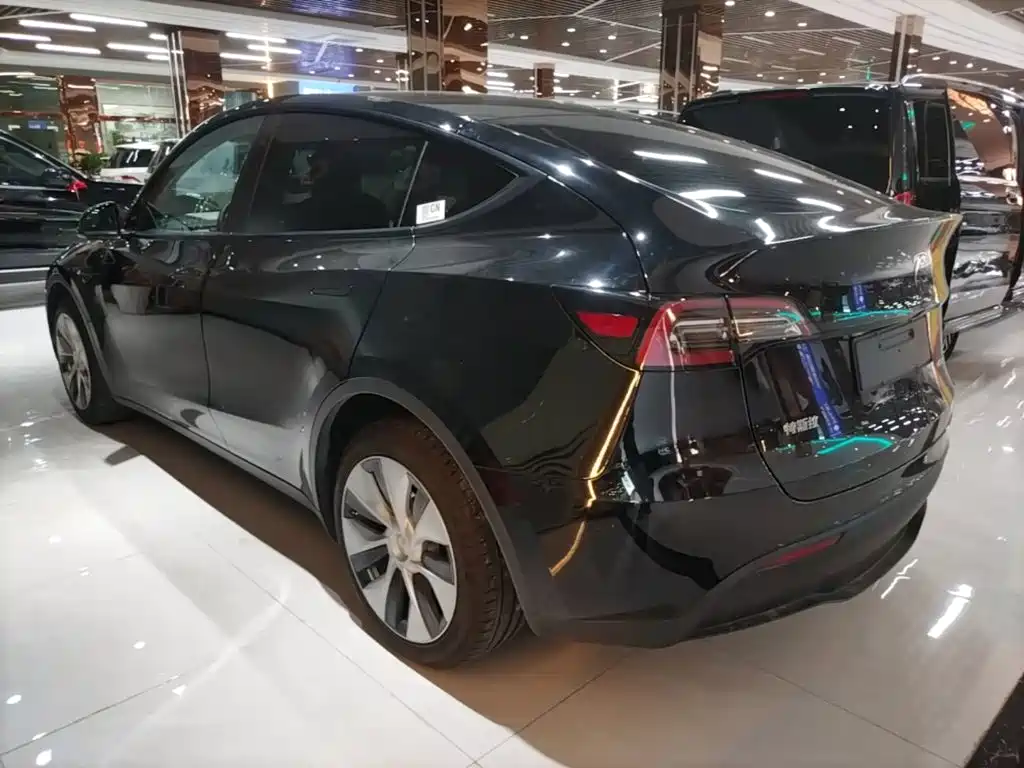 Tesla Model Y — миниатюра 5