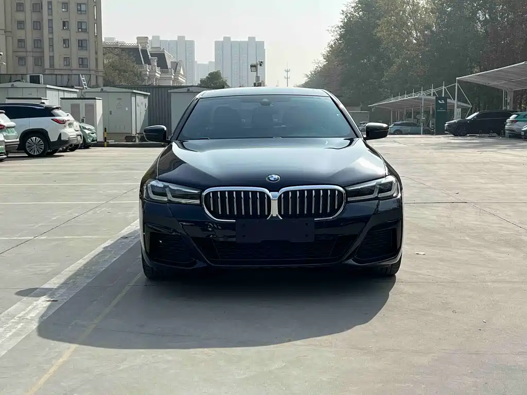 BMW 5 Series New Energy — миниатюра 2