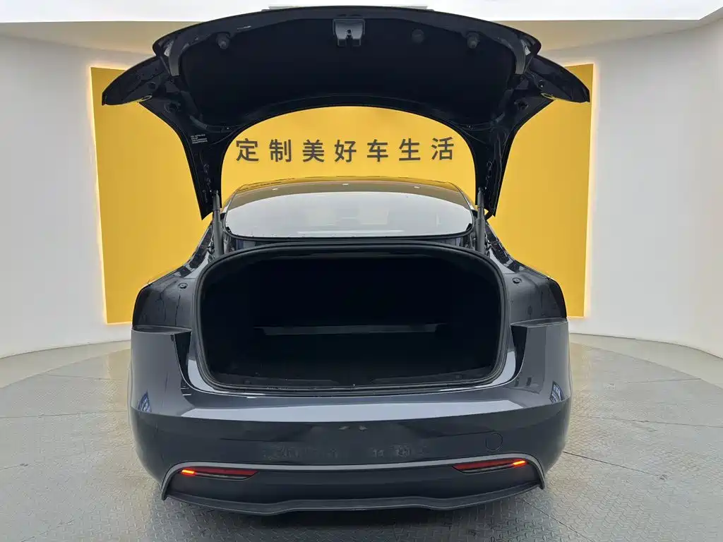 Tesla Model 3 — миниатюра 13