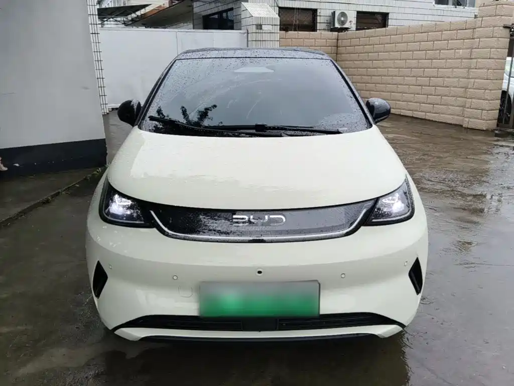 BYD Dolphin — миниатюра 3