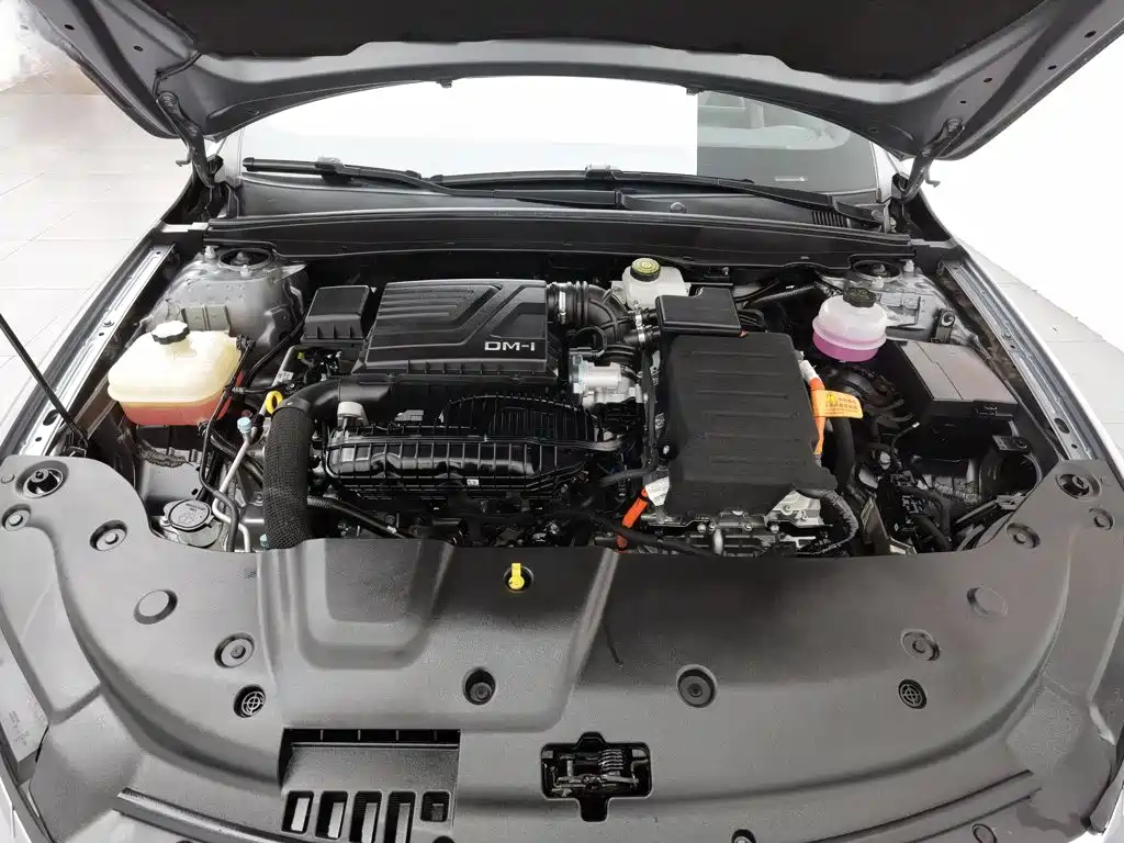 BYD Qin Plus PLUS 2024 DM-i 55KM Lead