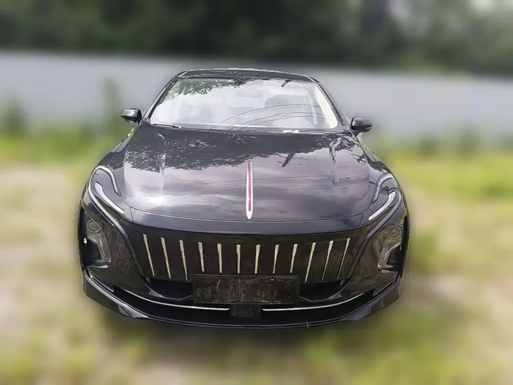 Hongqi Hongqi E-QM5 — миниатюра 5