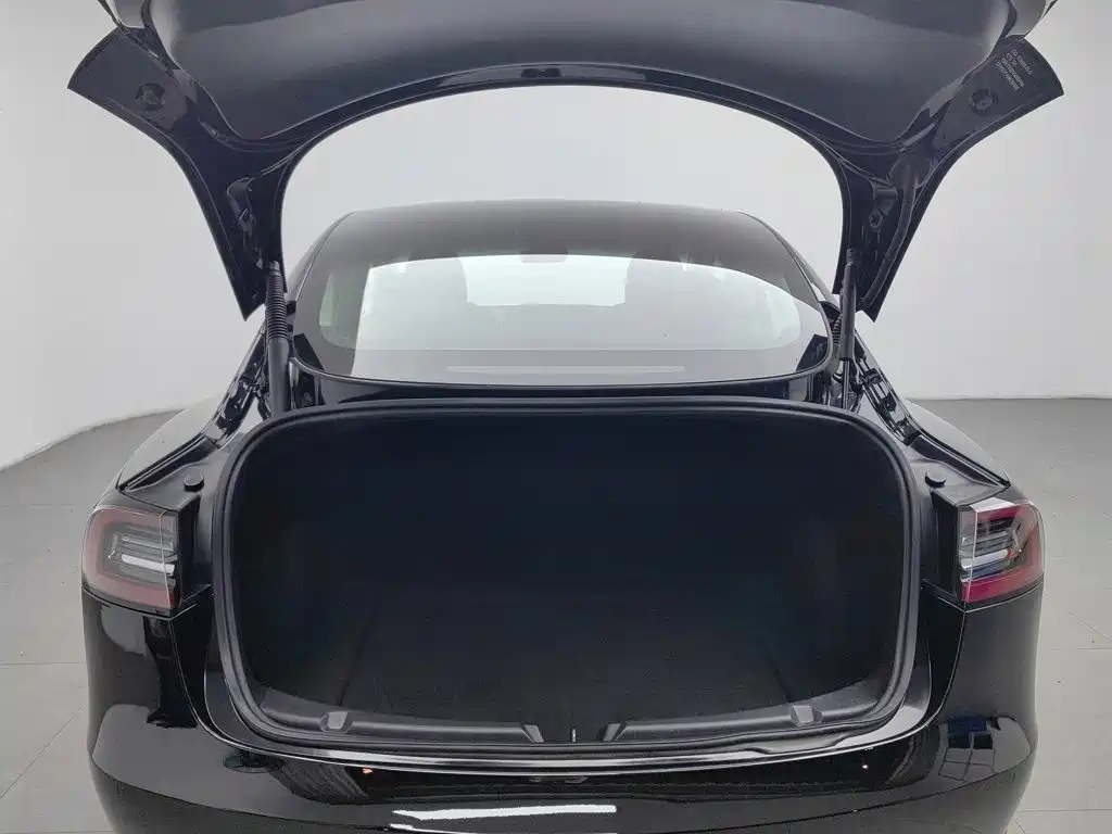 Tesla Model 3 — миниатюра 16