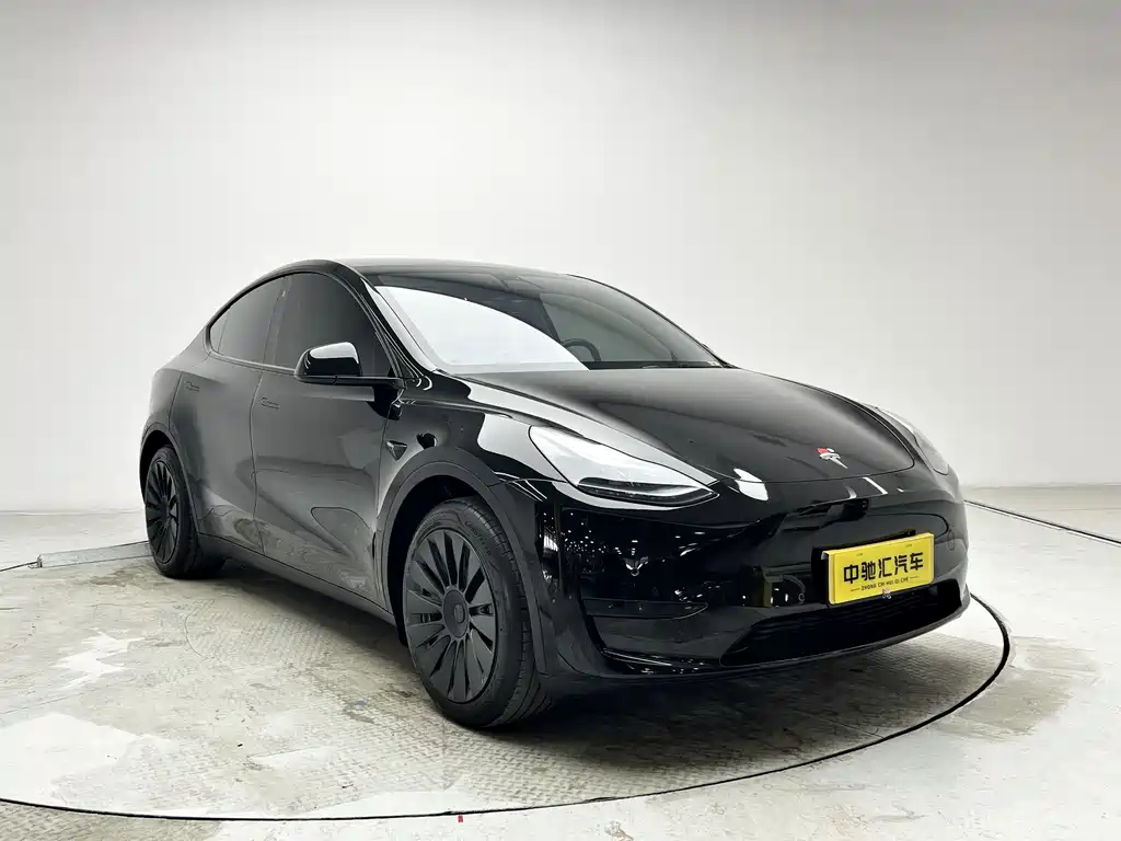 Tesla Model Y — миниатюра 3