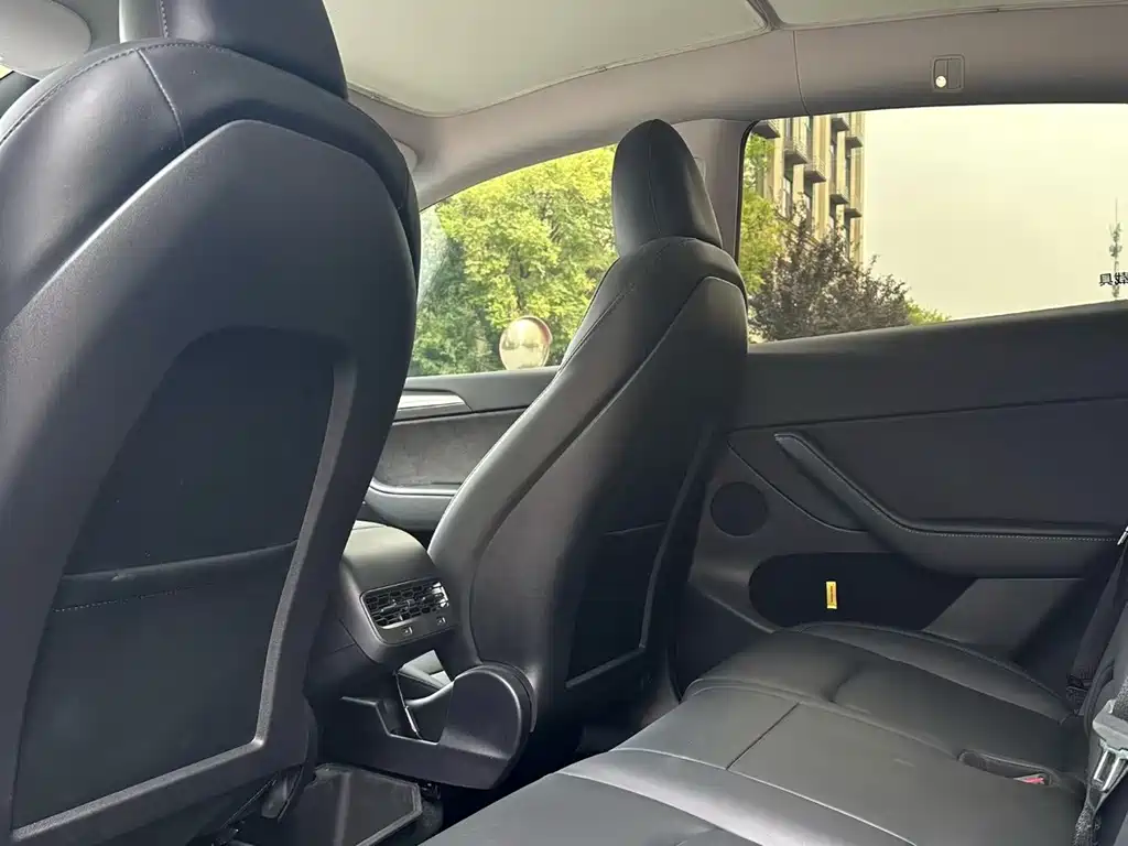 Tesla Model Y — миниатюра 8