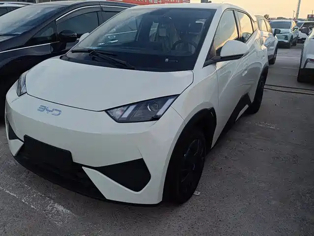 2026 BYD Seagull