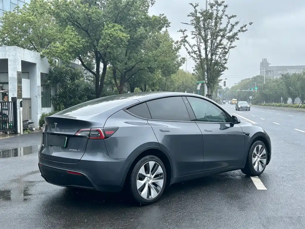 Tesla Model Y — миниатюра 3