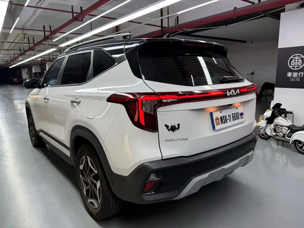 Kia Seltos — миниатюра 6