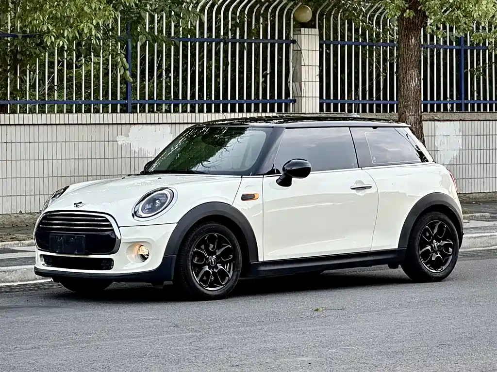 Mini Mini 2015