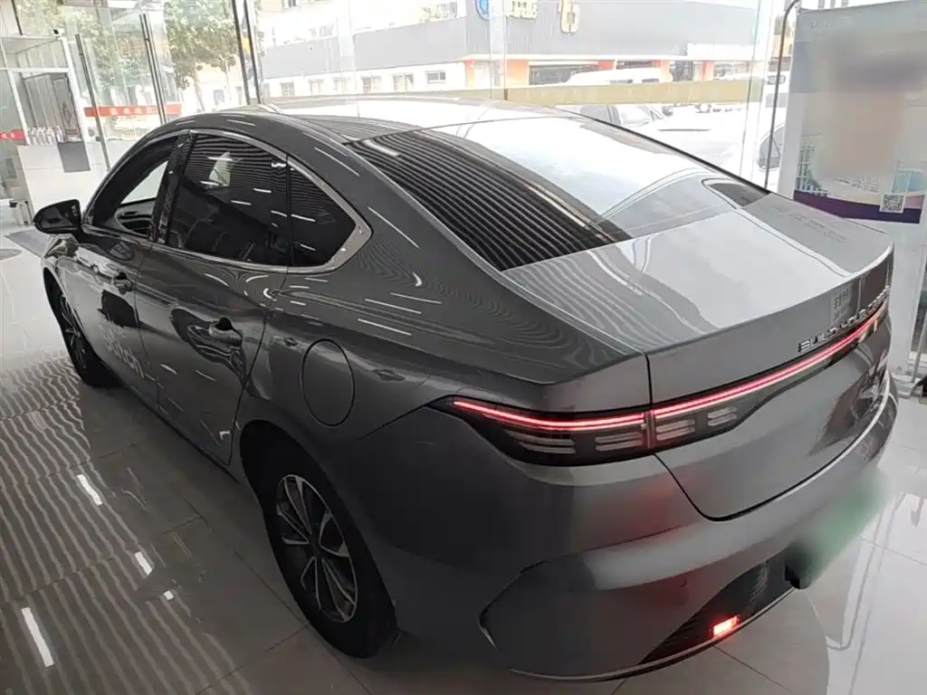 BYD Destroyer 05 2024 DM-i 55KM Luxury