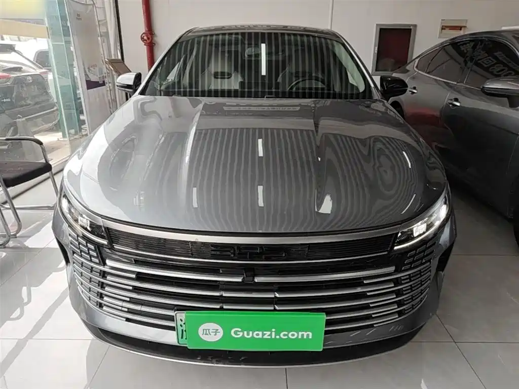 BYD Destroyer 05 2024 DM-i 55KM Luxury