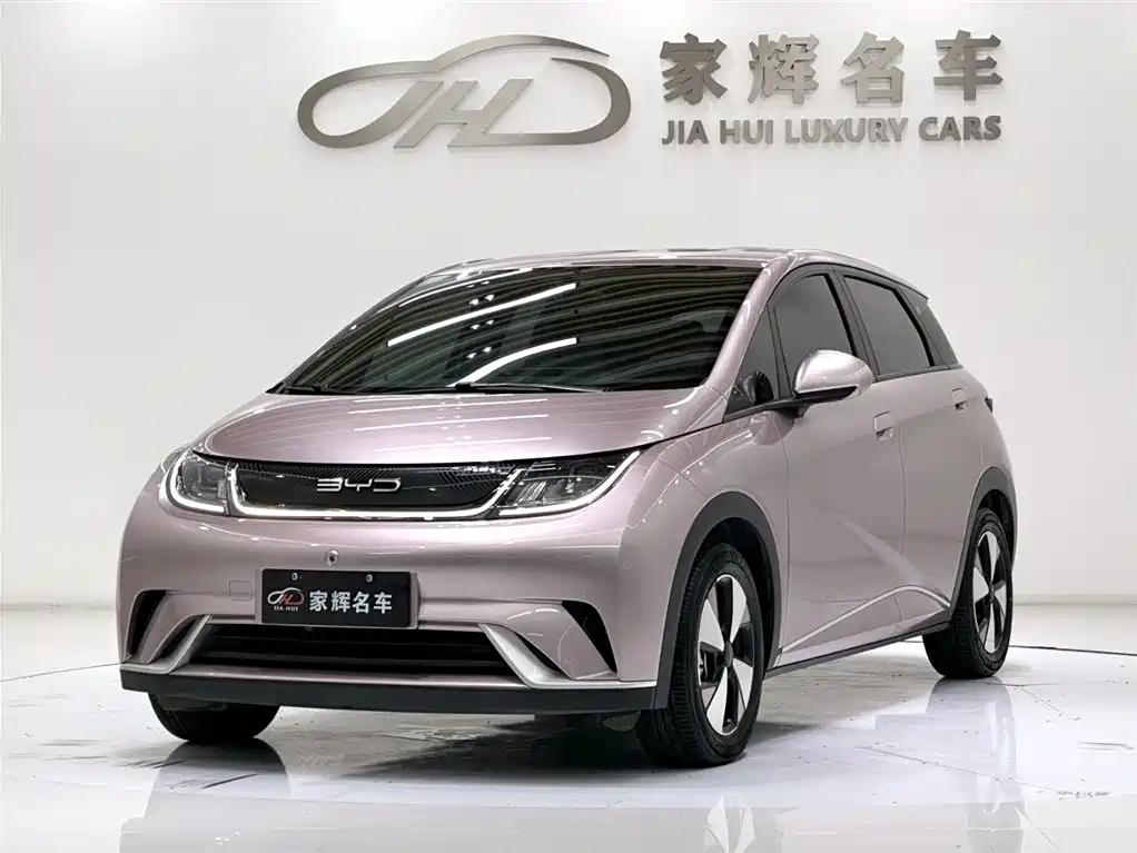 Byd Dolphin 2024