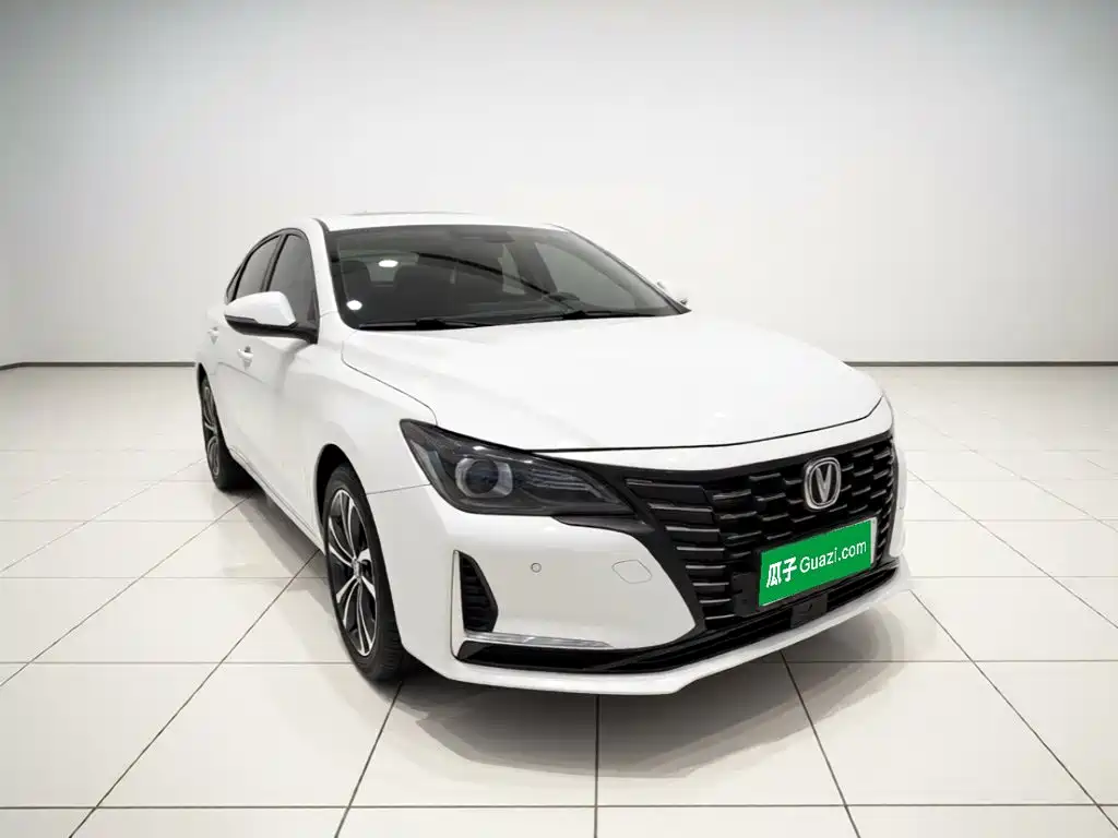 Changan Ruicheng CC — миниатюра 3