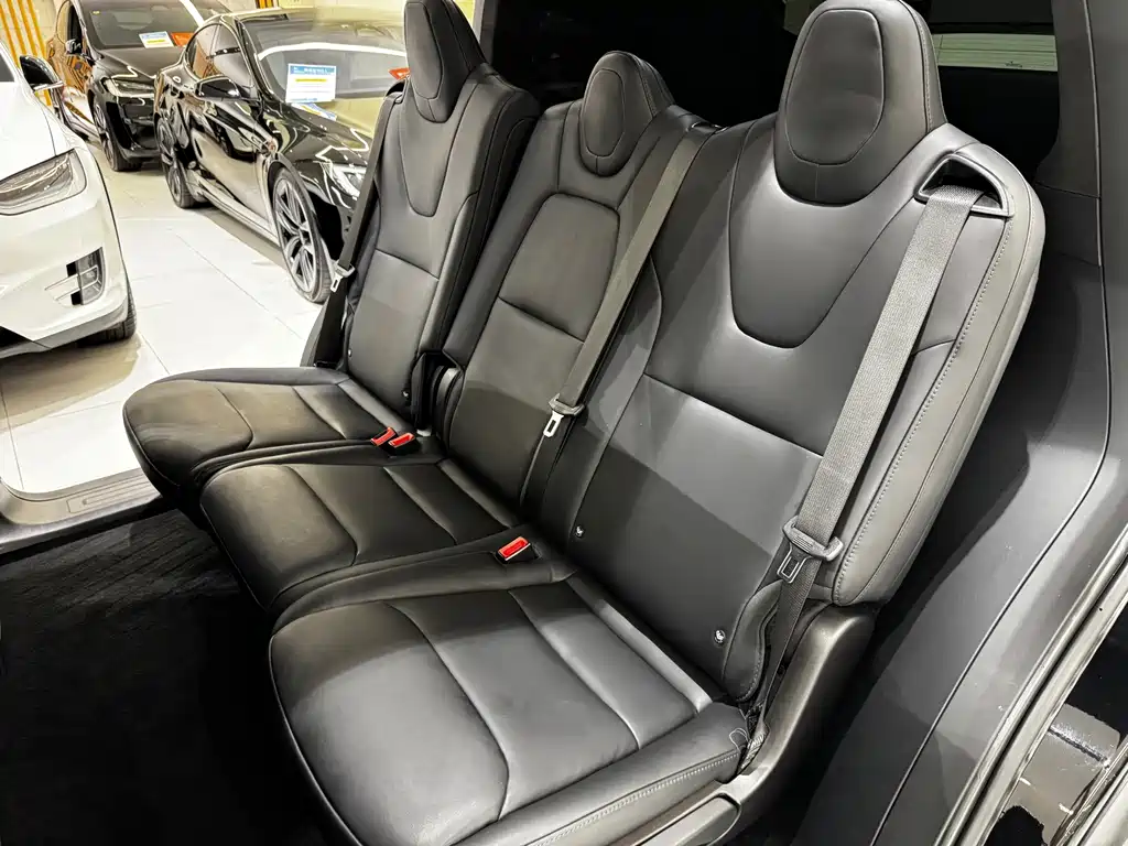 Tesla Model X — миниатюра 10