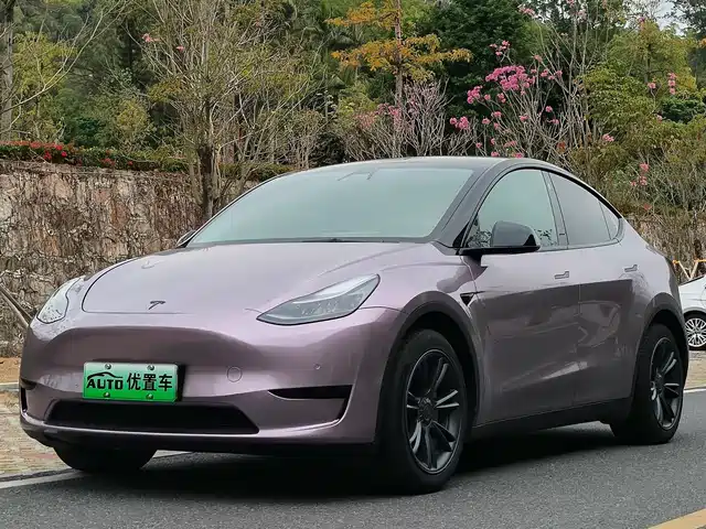 tesla model-y