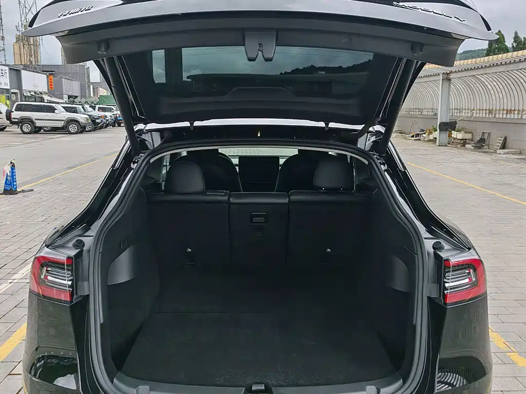 Tesla Model Y — миниатюра 17