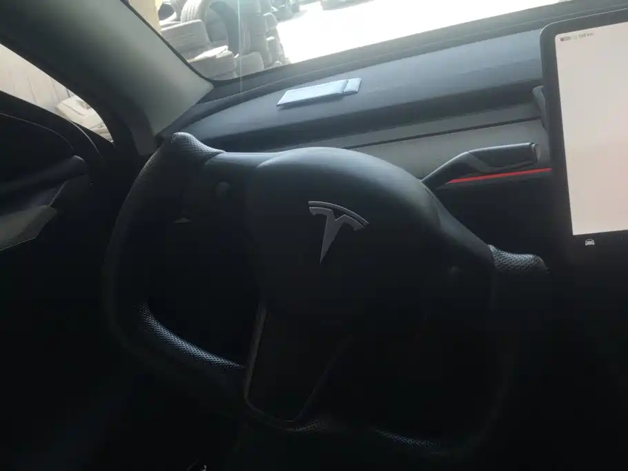 Tesla Model Y — миниатюра 15