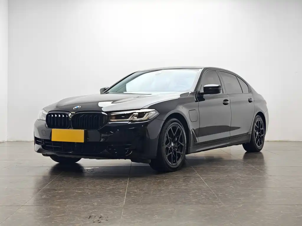 BMW 5 Series New Energy 2021