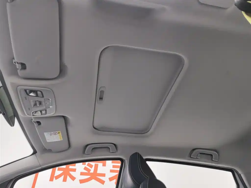 GEELY GEOMETRY EX3 KUNG FU COW