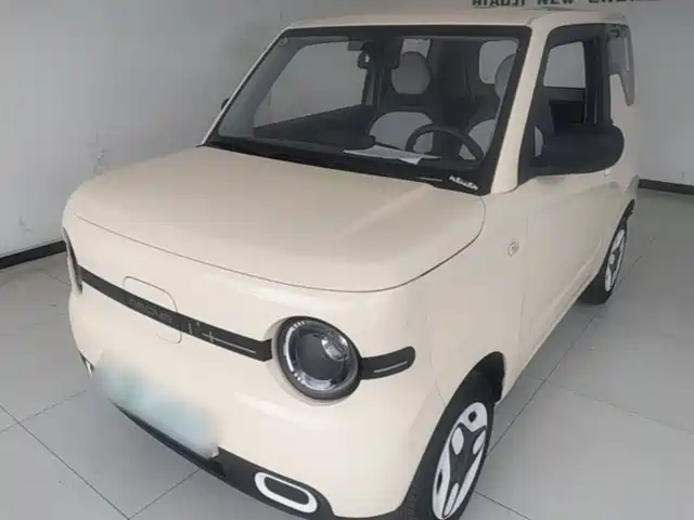 2025 Geely LC (Panda)