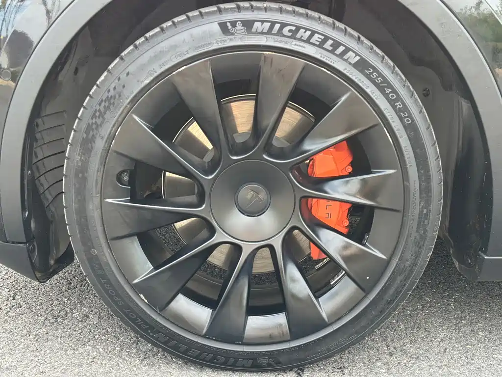 Tesla Model Y — миниатюра 3
