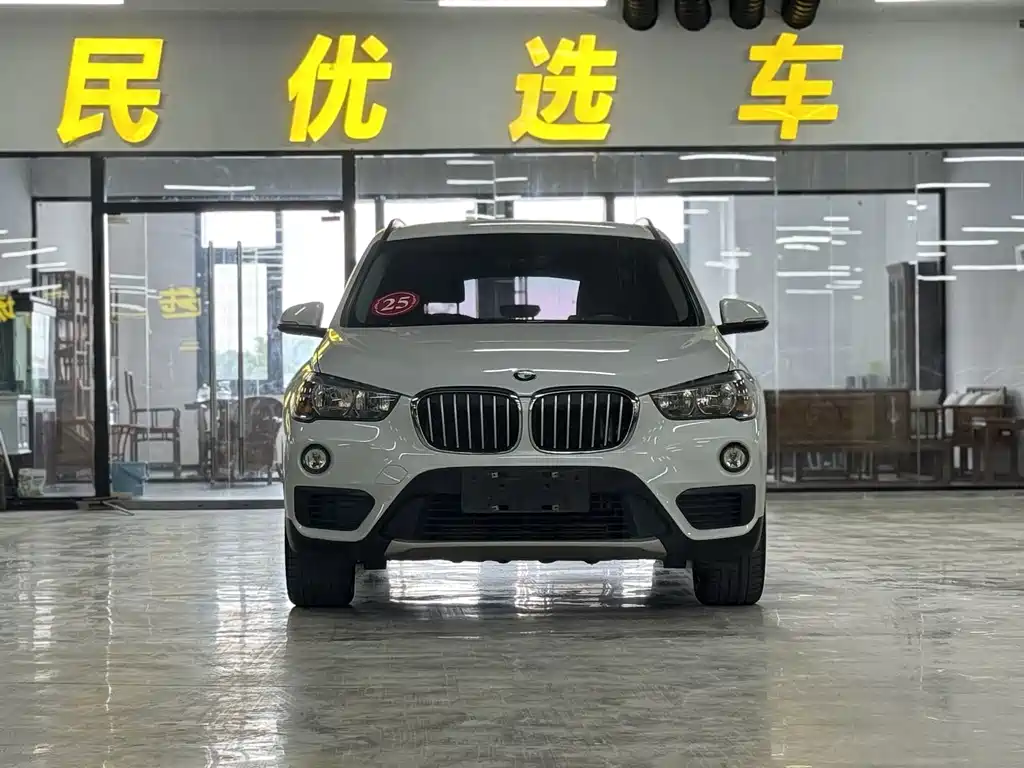 BMW X1 — миниатюра 2