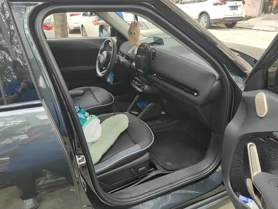 MINI MINI ACEMAN EV — миниатюра 8
