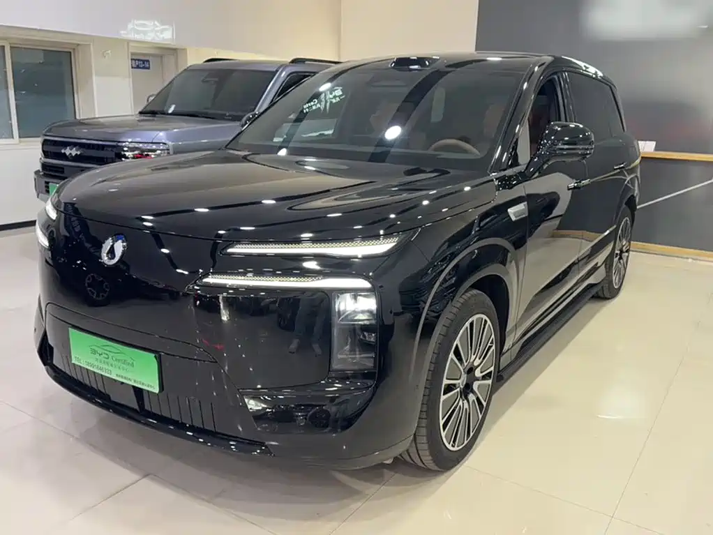 Denza Denza N8L — миниатюра 7